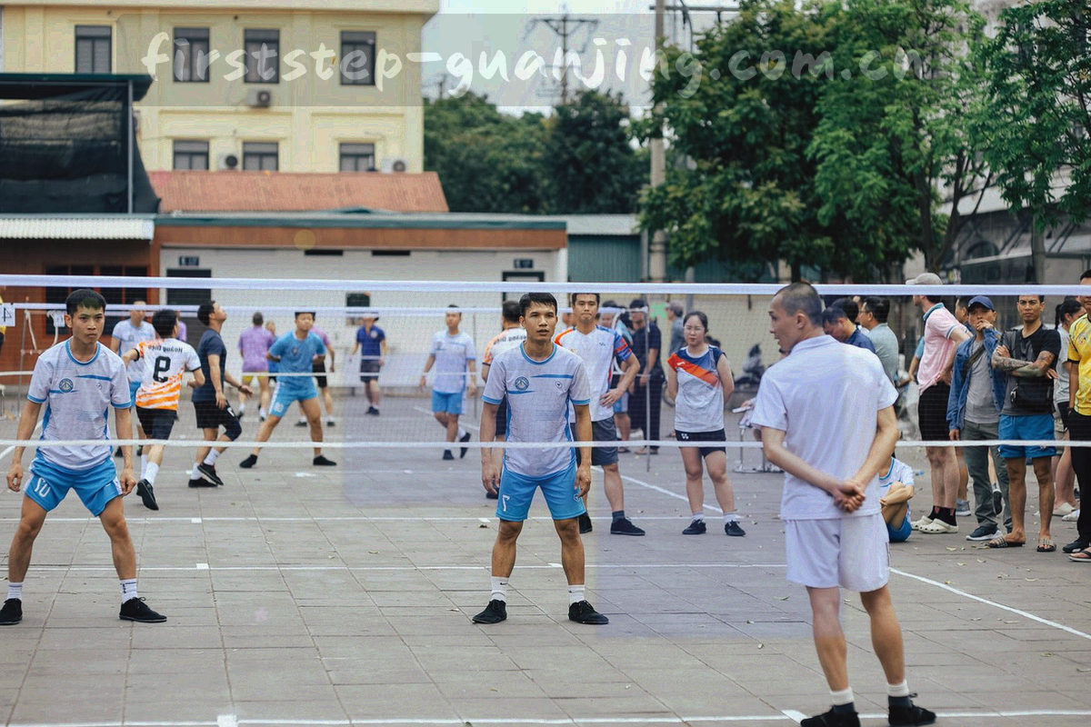 抽象数据面板与球场切线叠层